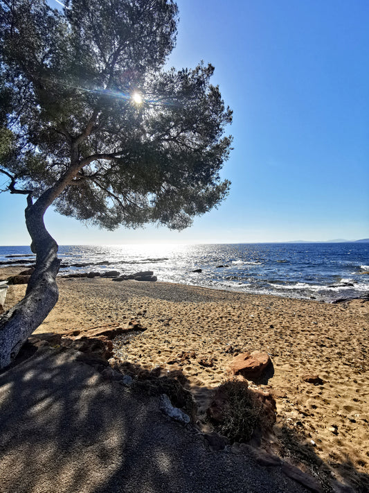 French Riviera
