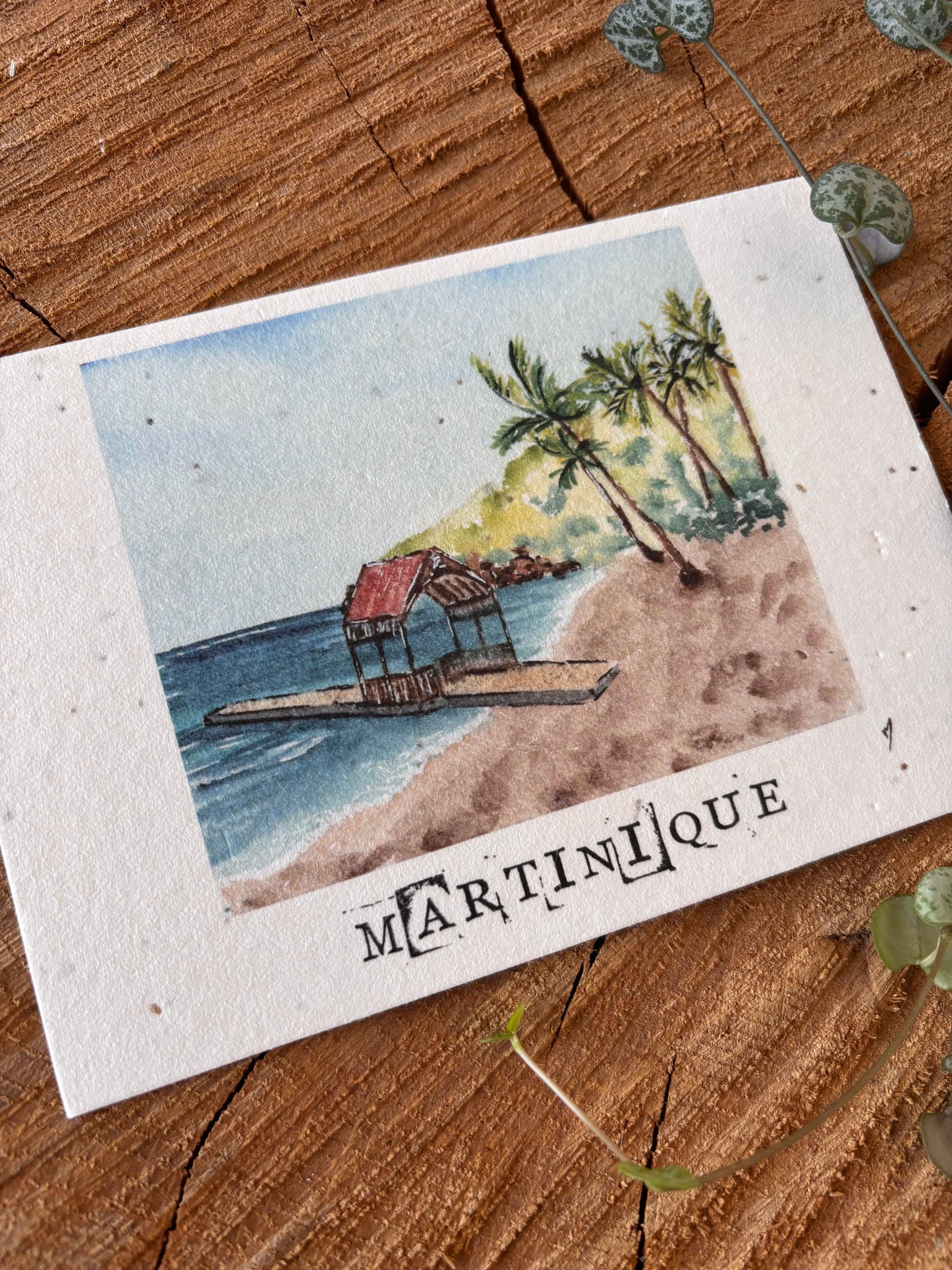 Anse Noire - Martinique - Carte aquarelle - 10,5x14,8cm