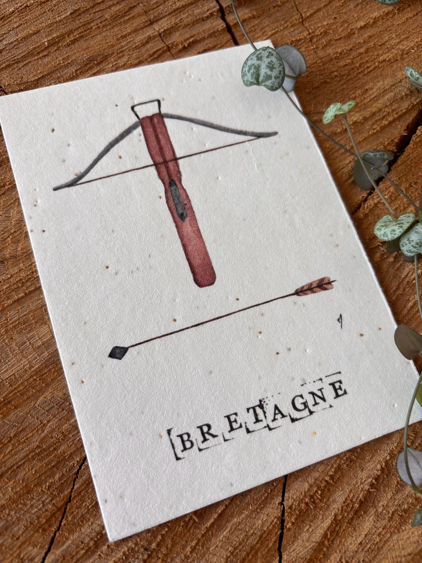 Arbalète - Morbihan - Carte aquarelle - 10,5x14,8cm
