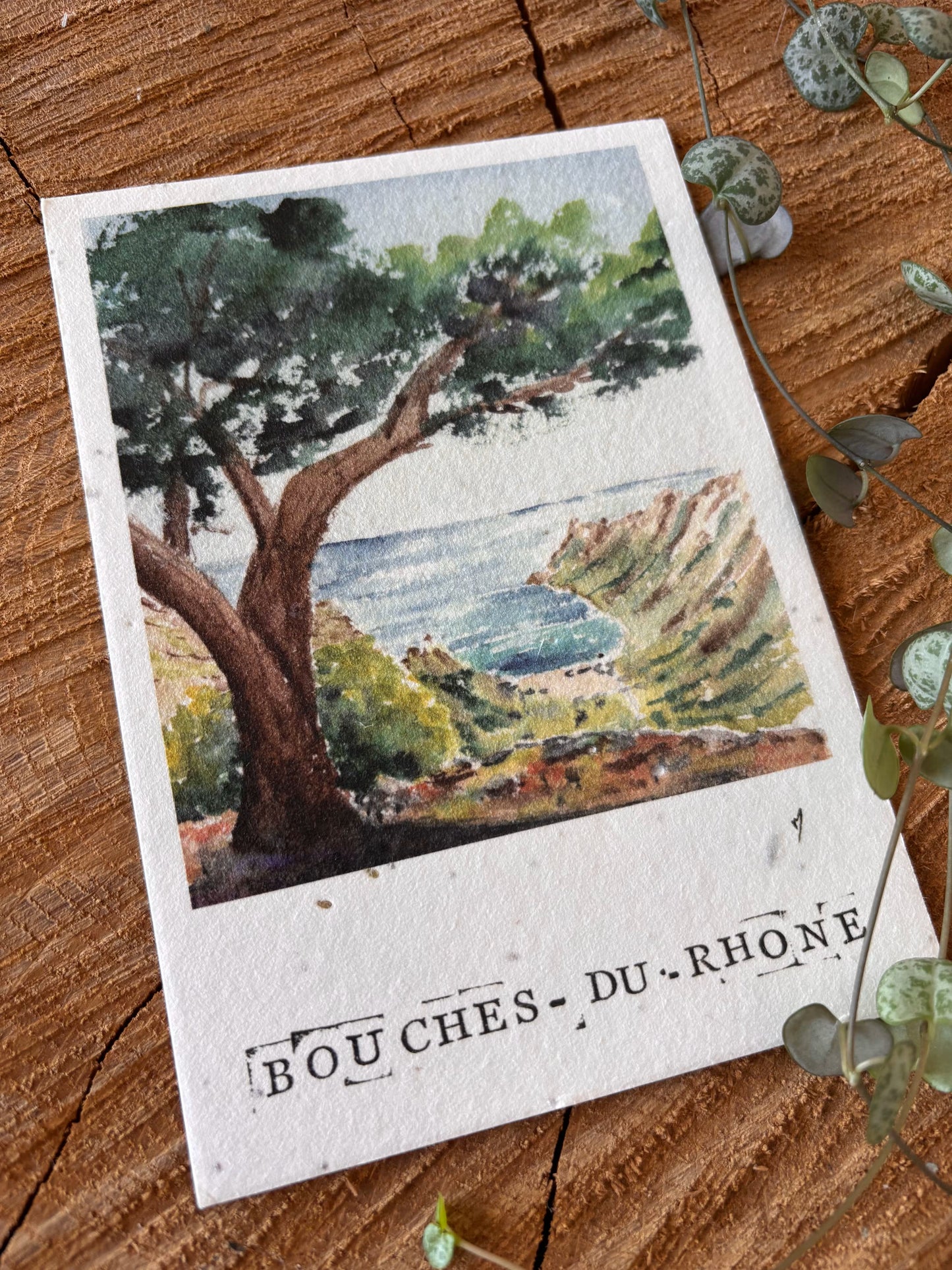 Parc National des Calanques - Bouches-du-Rhône - Carte aquarelle - 10,5x14,8cms