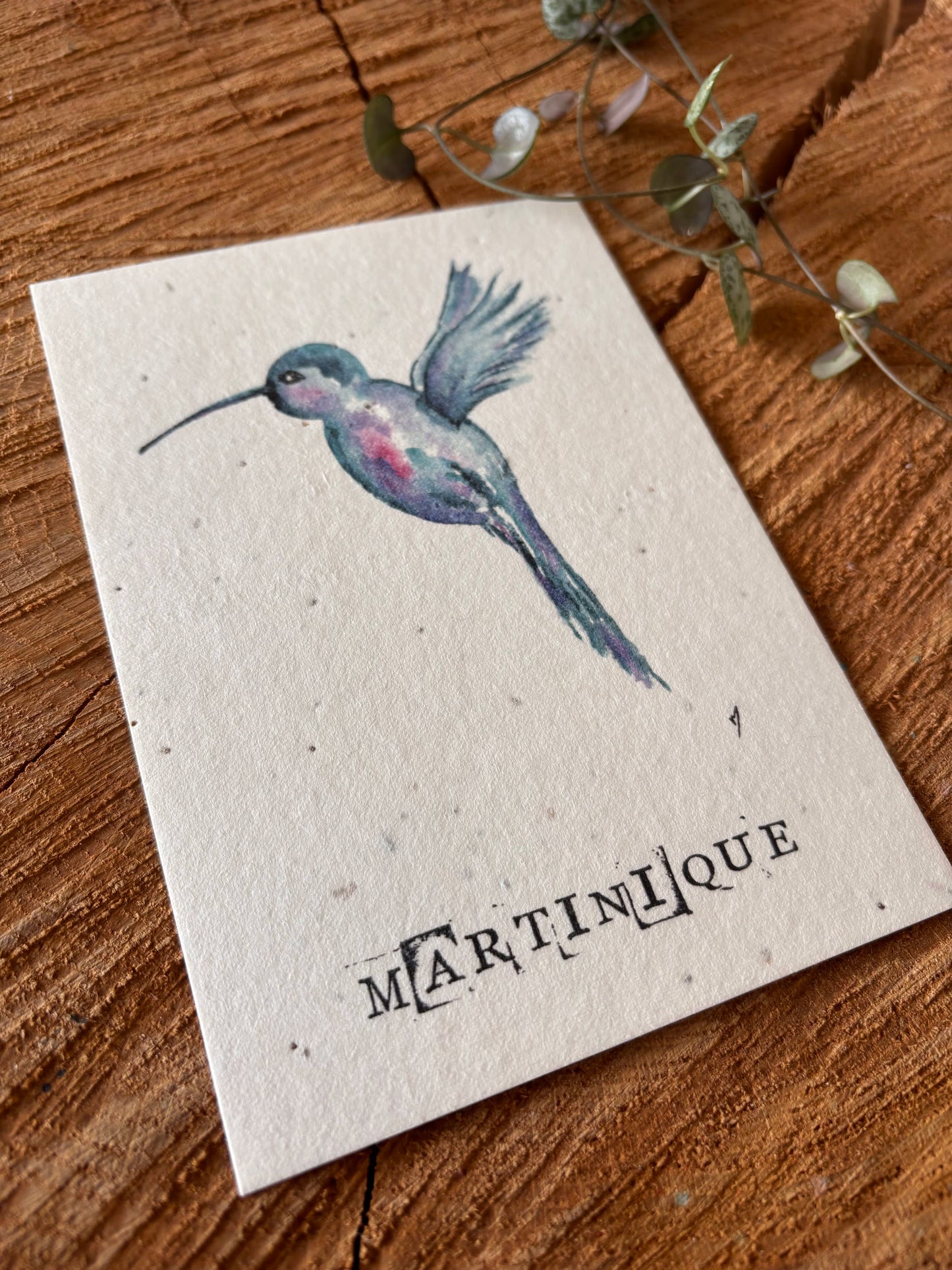 Colibris - Martinique - Carte aquarelle - 10,5x14,8cm