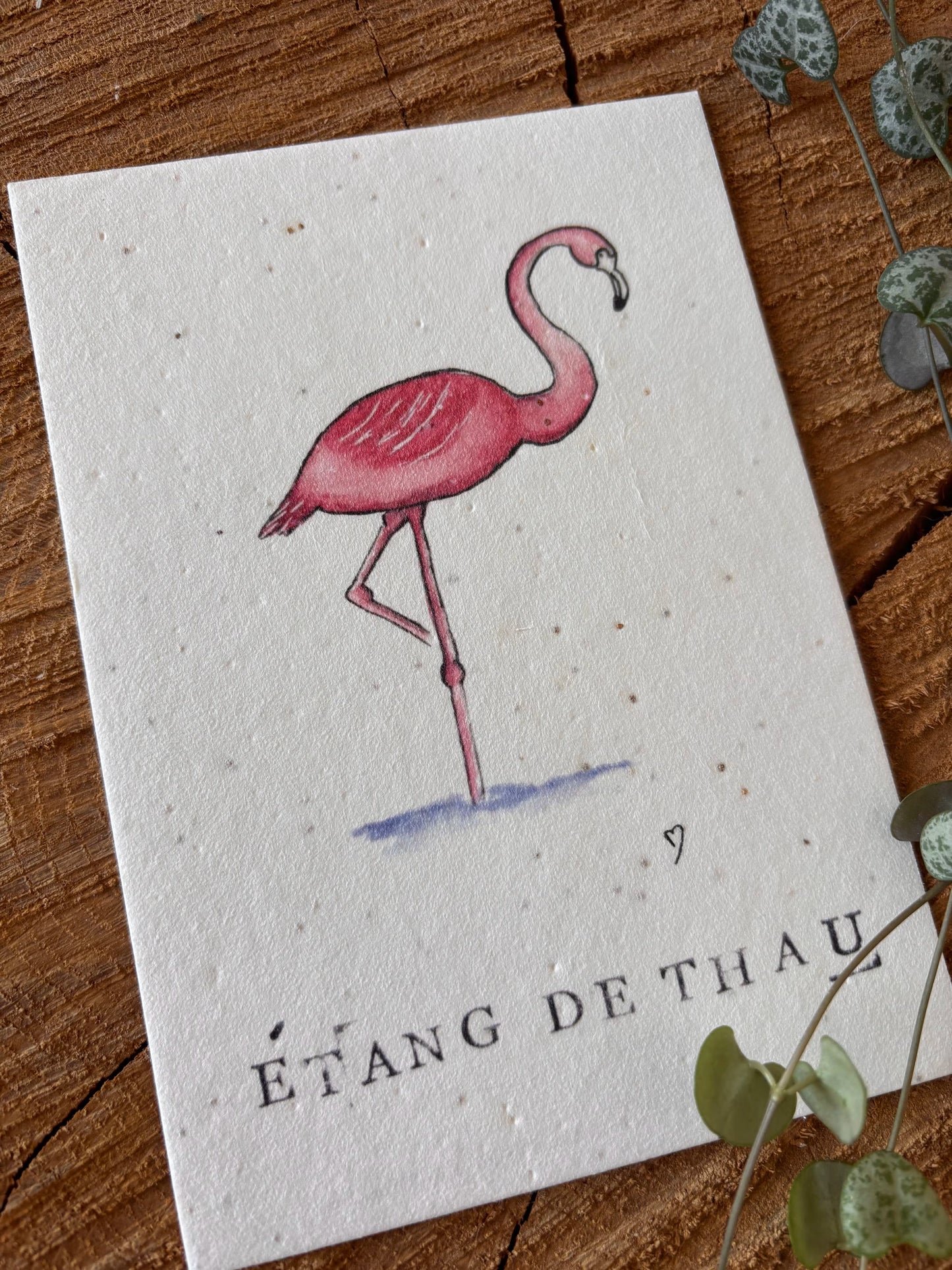 Flamant rose - Hérault - Carte aquarelle - 10,5x14,8cm
