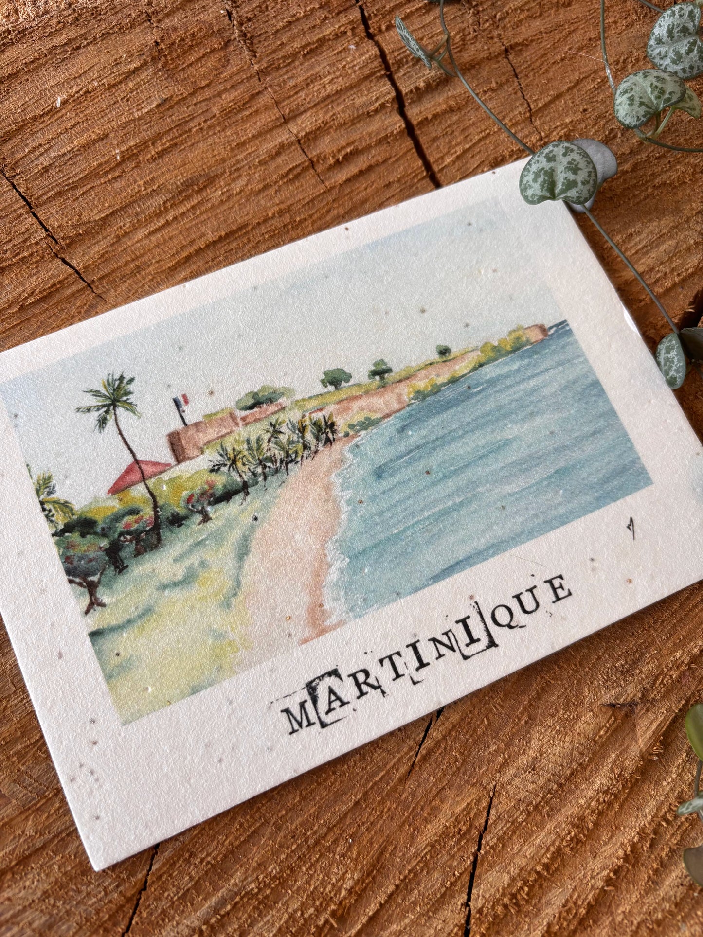 Fort-de-France - Martinique - Carte aquarelle - 10,5x14,8cm