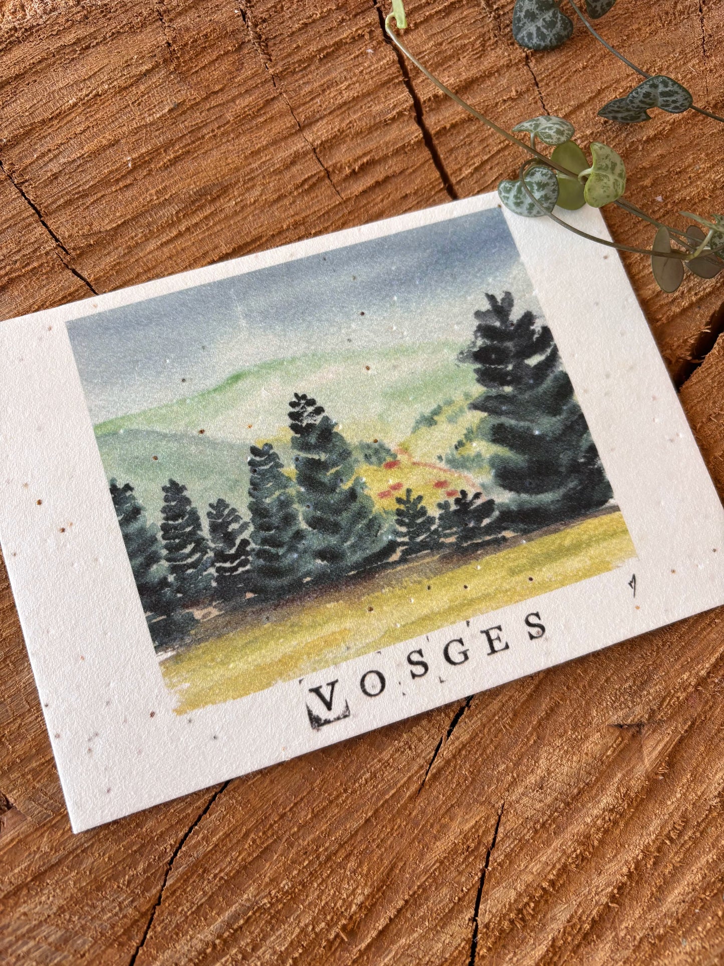 Le Haut du tôt - Vosges - Carte aquarelle - 10,5x14,8cm