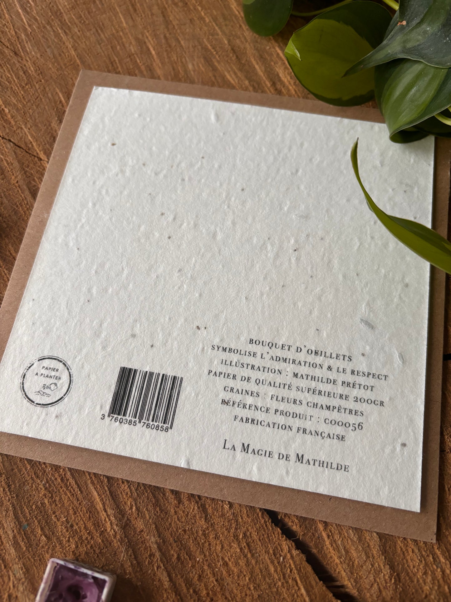 Bouquet d'oeillets - Carte ensemencée