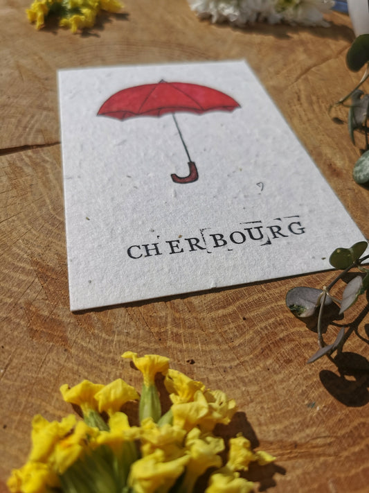 Parapluie de Cherbourg - Manche - Carte postale ensemencée