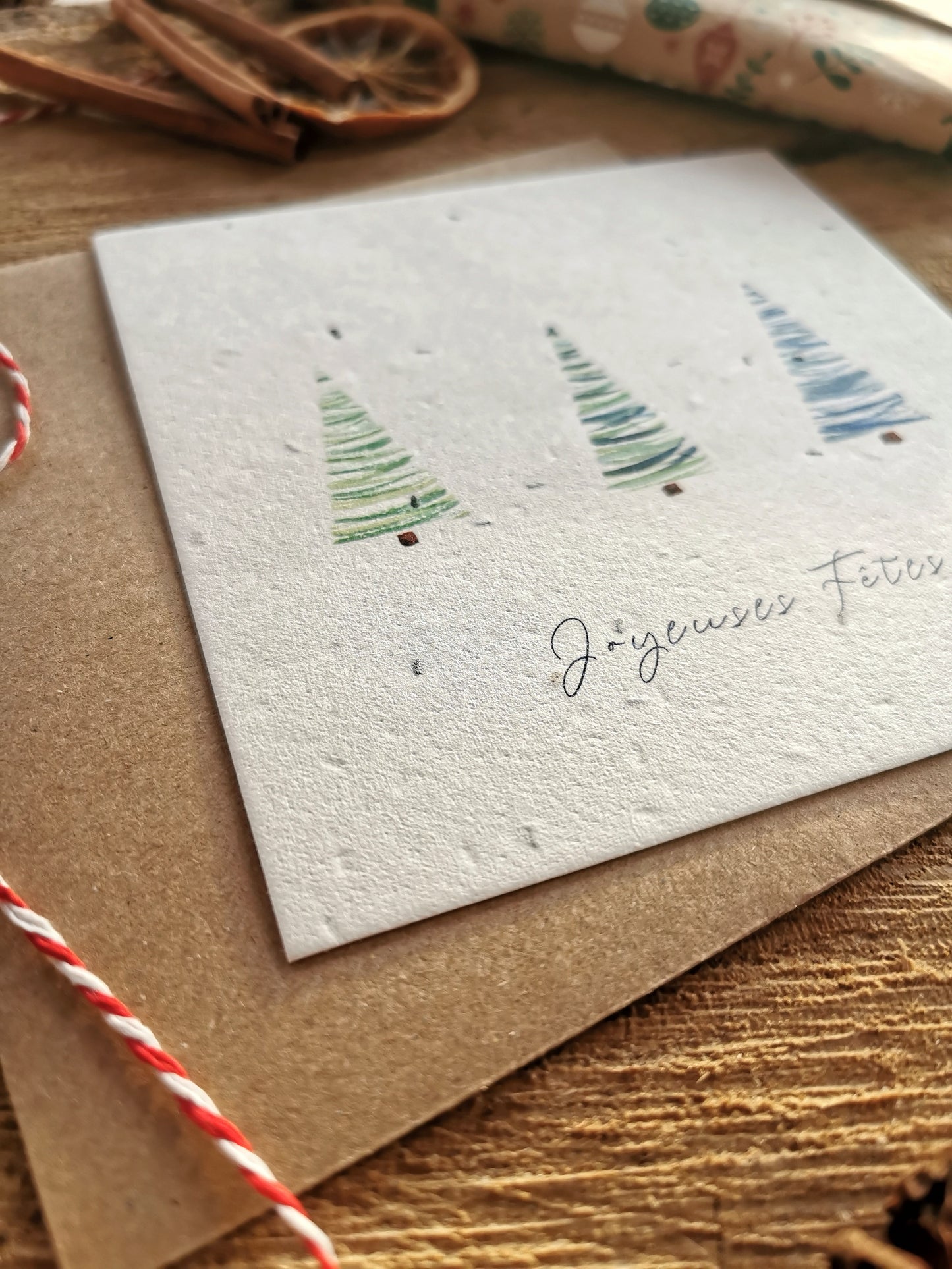 Joyeuses Fêtes - Carte ensemencée (graines expirées)