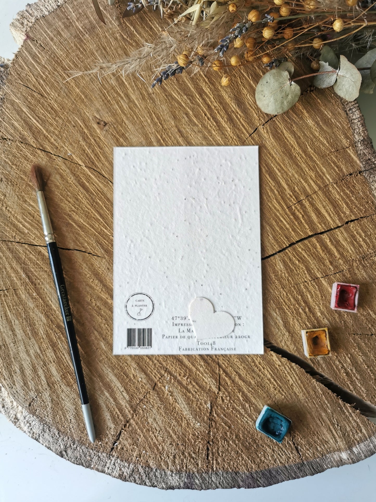 Carte ensemencée avec coordonnées GPS - Vannes - Morbihan