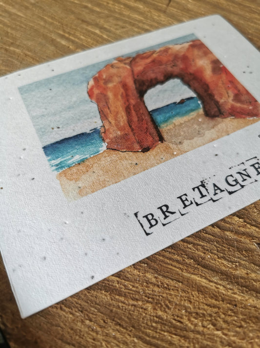 Carte ensemencée avec coordonnées GPS - Roche percée - Morbihan