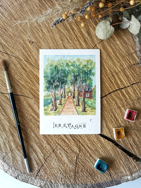 Carte ensemencée avec coordonnées GPS - Rochefort-en-Terre - Morbihan