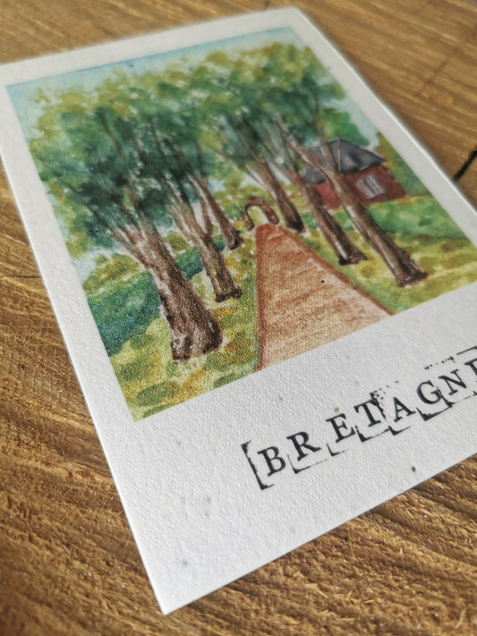 Carte ensemencée avec coordonnées GPS - Rochefort-en-Terre - Morbihan