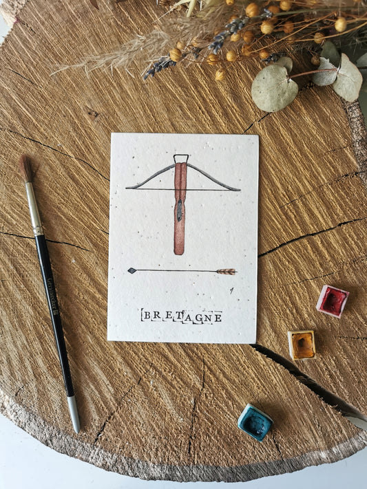 Carte ensemencée avec coordonnées GPS - Arbalète - Morbihan