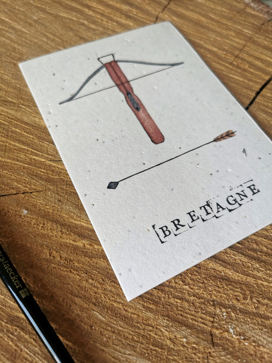 Carte ensemencée avec coordonnées GPS - Arbalète - Morbihan