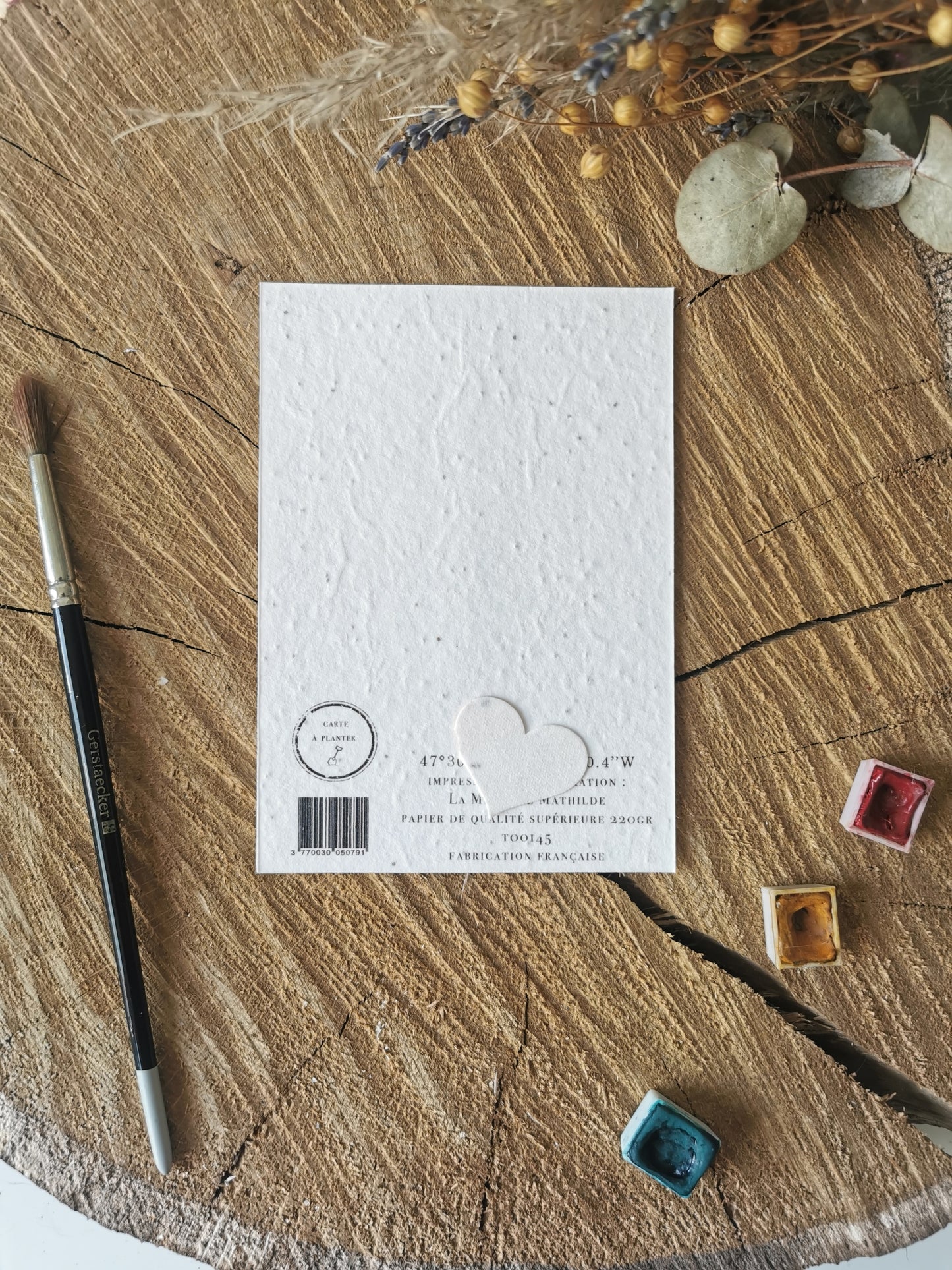 Carte ensemencée avec coordonnées GPS - Arbalète - Morbihan