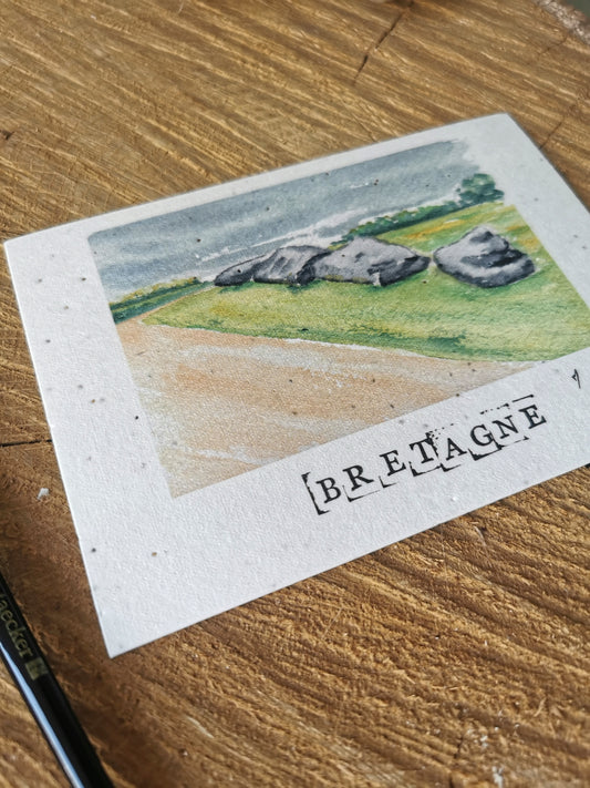 Carte ensemencée avec coordonnées GPS - Menhir foudroyé - Morbihan