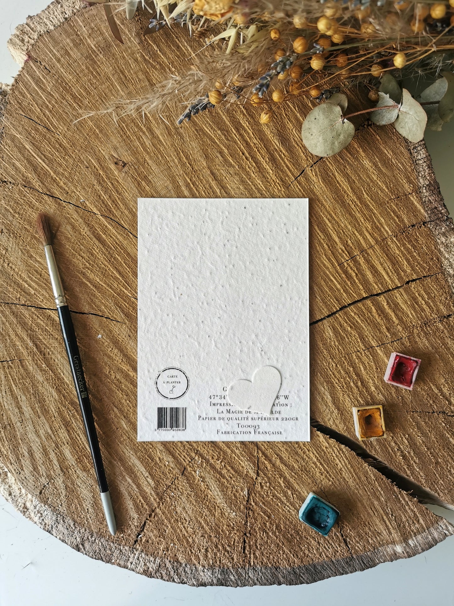Carte ensemencée avec coordonnées GPS - Menhir foudroyé - Morbihan
