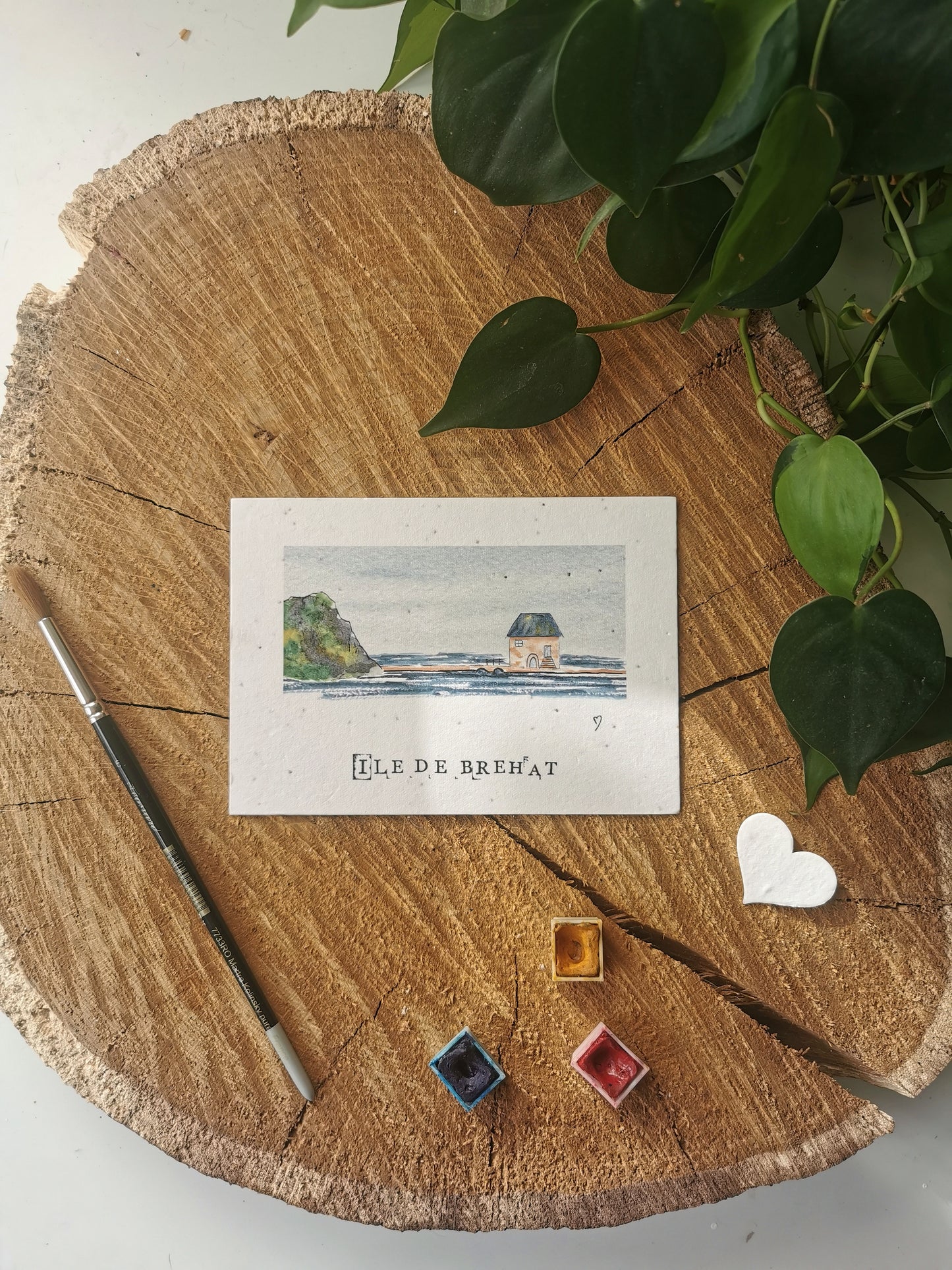Carte ensemencée avec coordonnées GPS - Moulin à marée - Côtes d'Armor