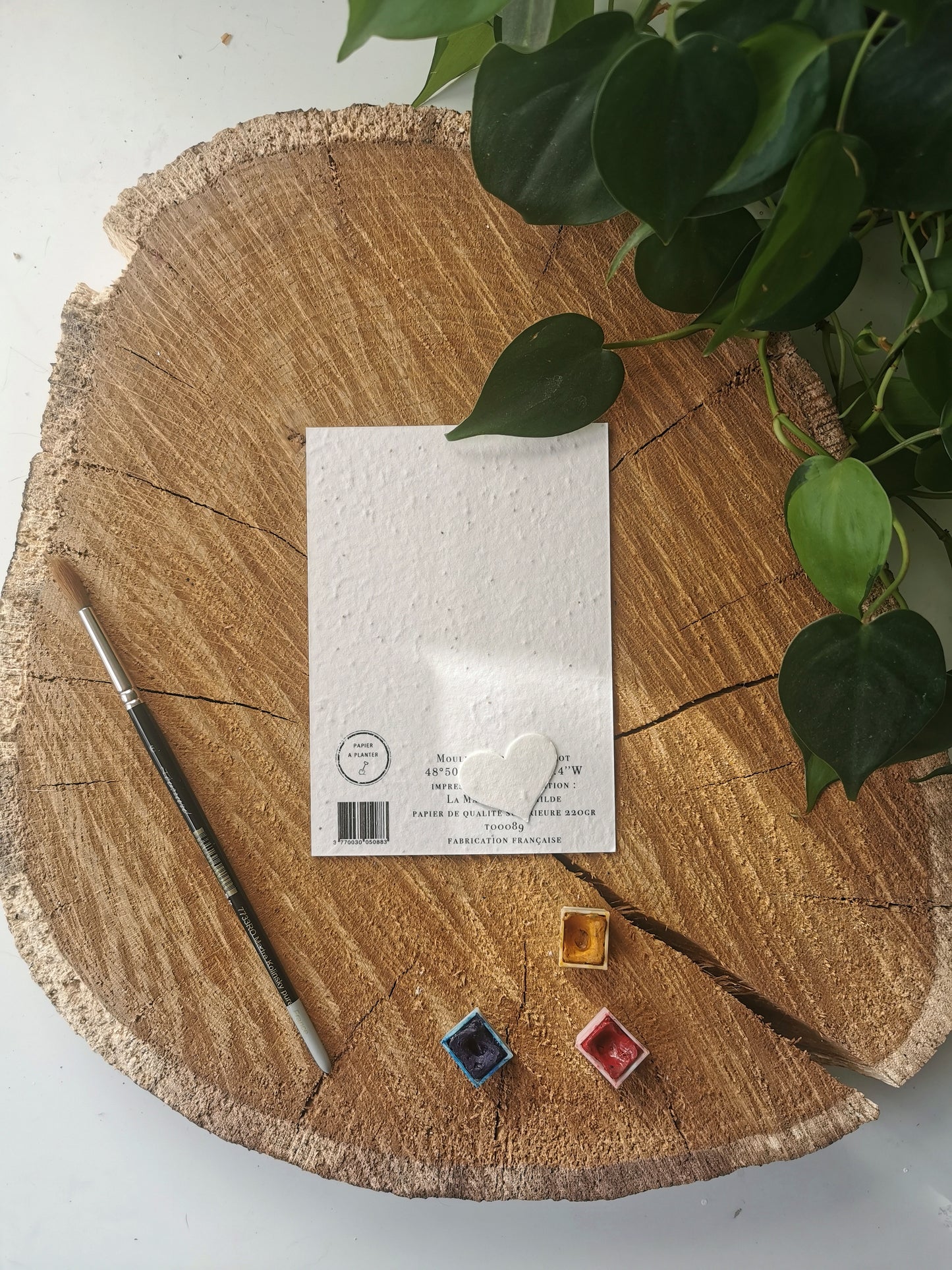 Carte ensemencée avec coordonnées GPS - Moulin à marée - Côtes d'Armor