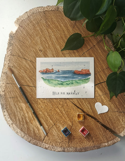 Carte postale ensemencée avec coordonnées GPS - Ile de Bréhat - Côtes d'Armor