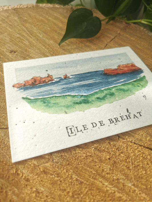 Carte postale ensemencée avec coordonnées GPS - Ile de Bréhat - Côtes d'Armor