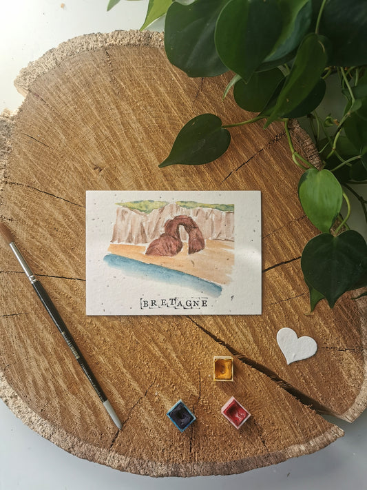 Carte ensemencée avec coordonnées GPS - Anse percée - Finistère