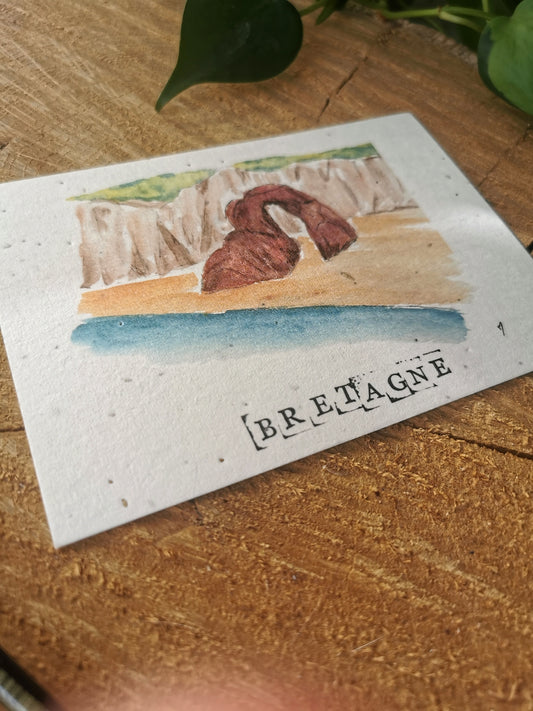 Carte ensemencée avec coordonnées GPS - Anse percée - Finistère