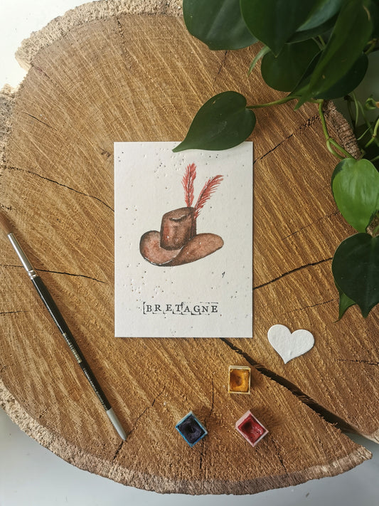 Carte ensemencée avec coordonnées GPS - Huelgoat - Finistère