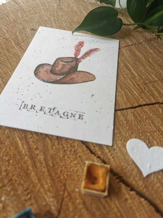 Carte ensemencée avec coordonnées GPS - Huelgoat - Finistère