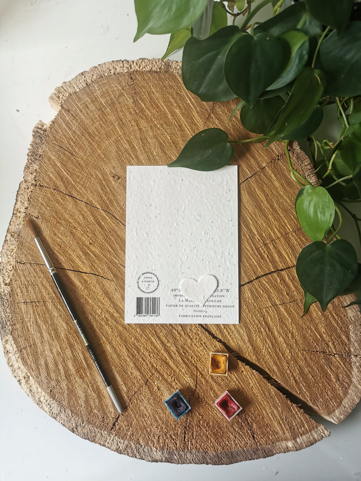 Carte ensemencée avec coordonnées GPS - Mont-St-Michel - Manche