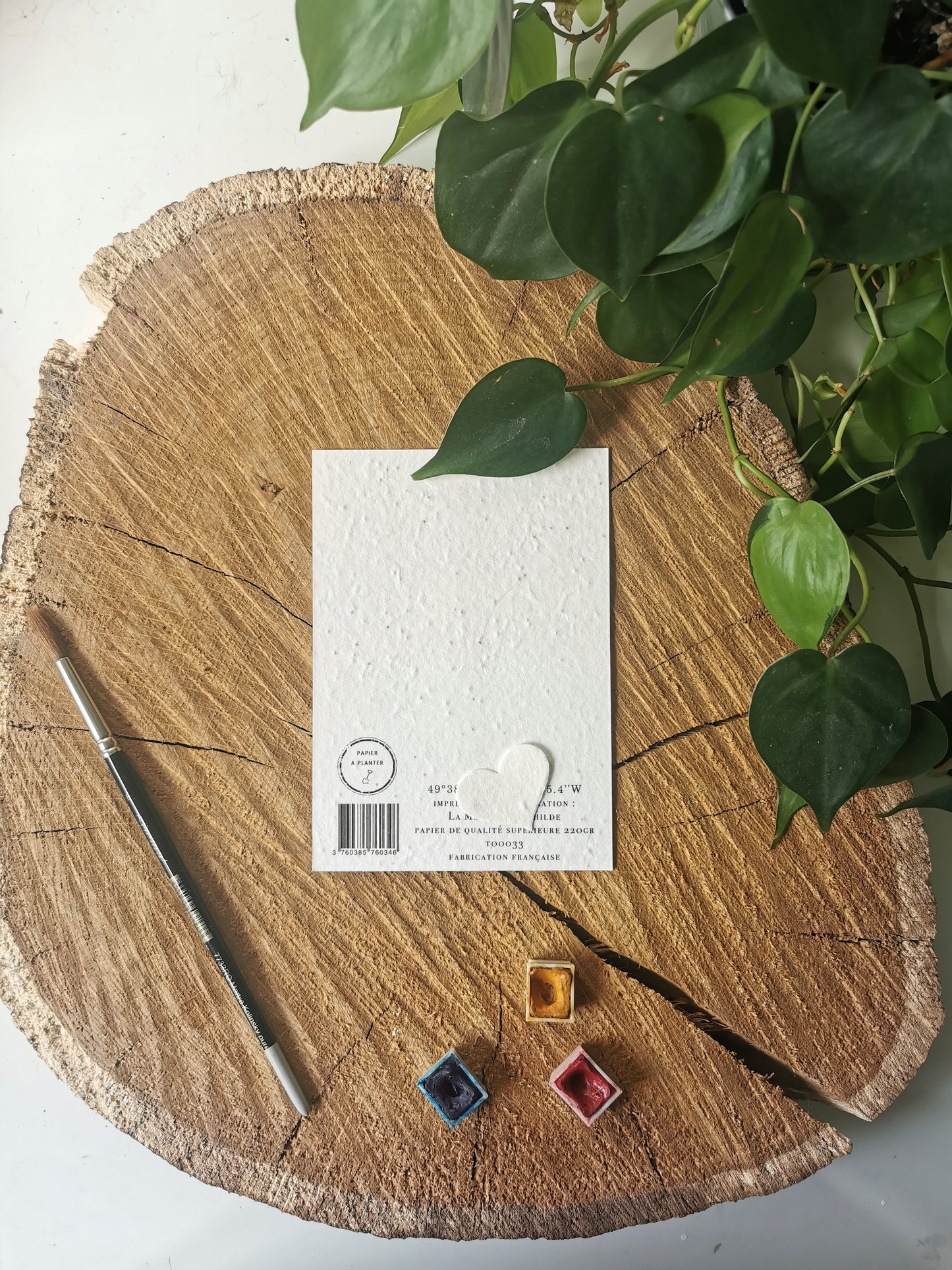Carte ensemencée avec coordonnées GSP - Hippocampe - Manche