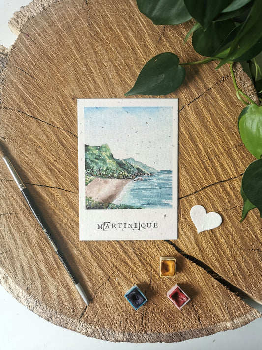 Carte postale ensemencée avec coordonnées GPS - Grand-Rivière - Martinique