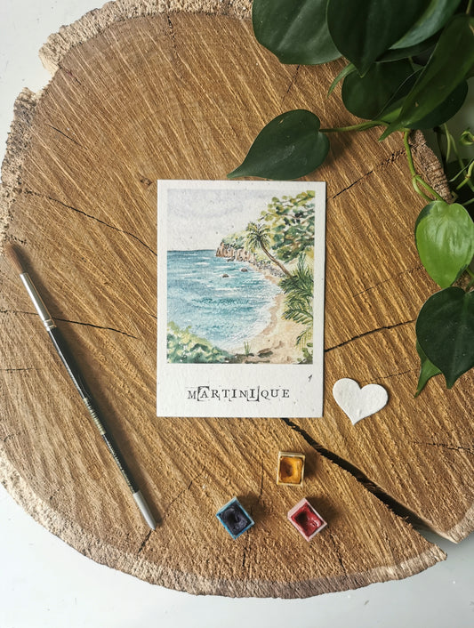 Carte postale ensemencée avec coordonnées GPS - Plage Argand - Martinique