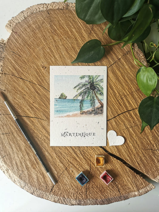 Carte ensemencée avec coordonnées GPS - Le Diamant- Martinique