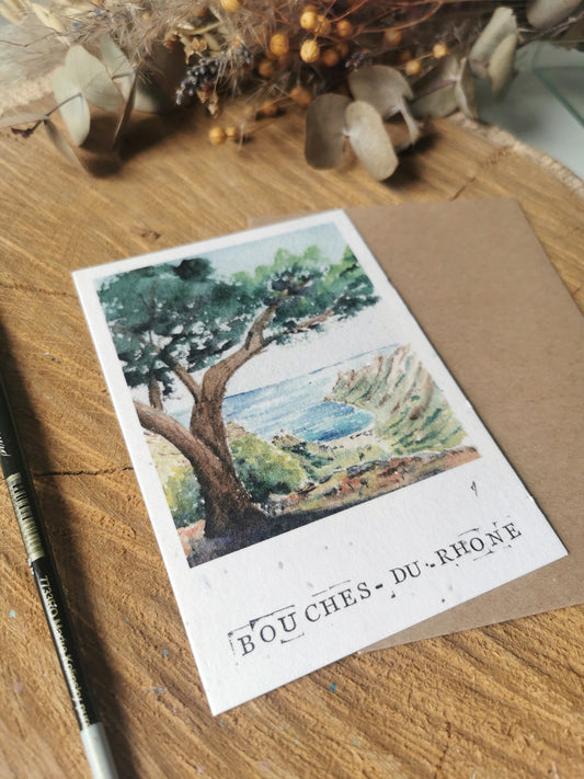 Parc National des Calanques - Bouches-du-Rhônes - Carte postale ensemencée