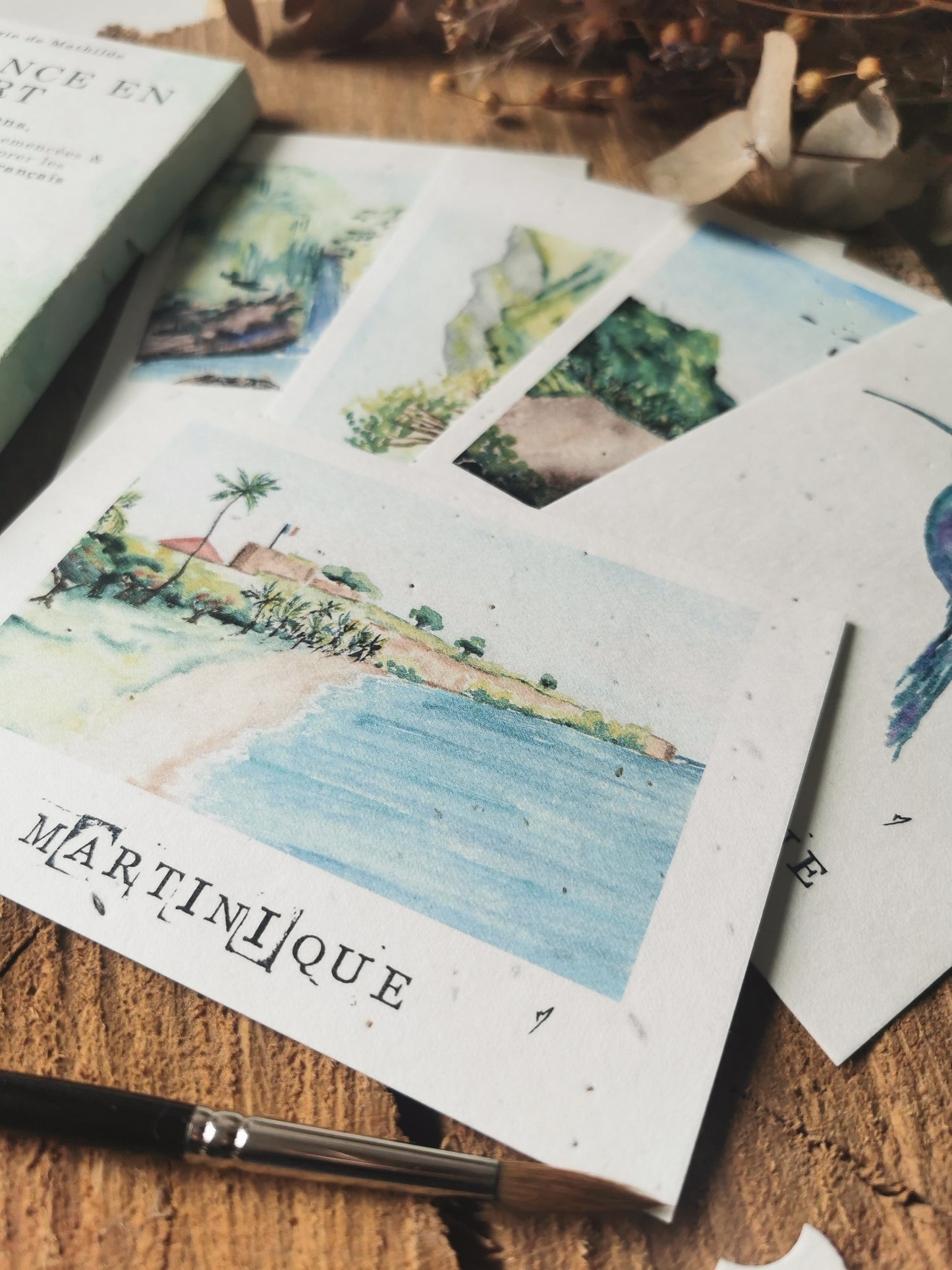 La Martinique en Vert