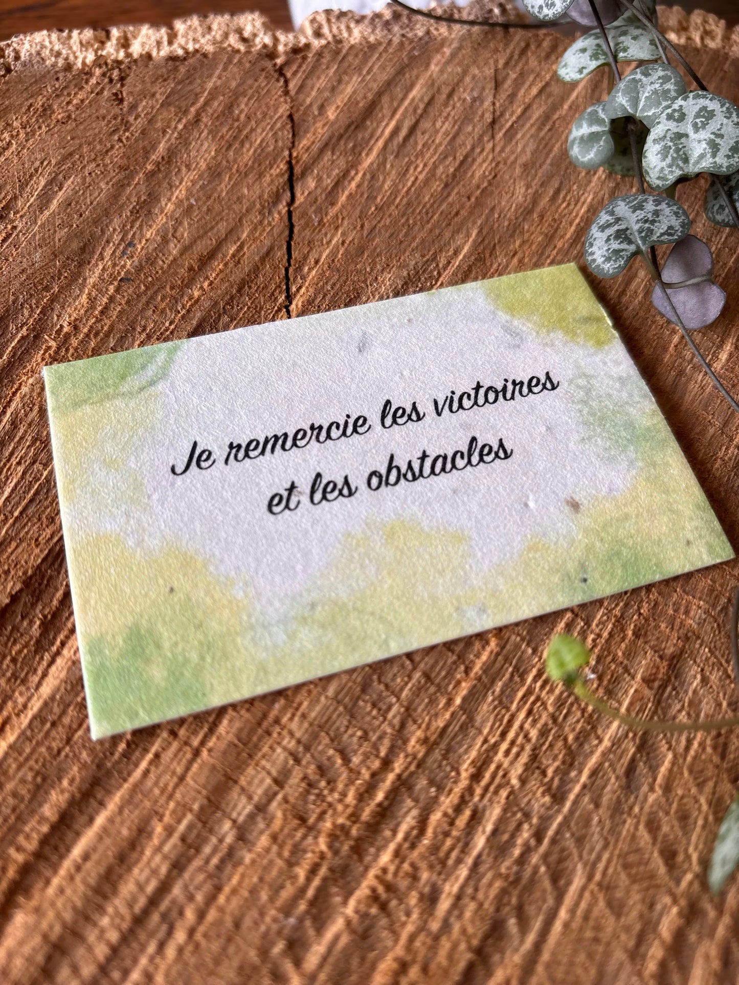Je remercie les victoires et les obstacles - 5,5x8,5cm - Carte ensemencée