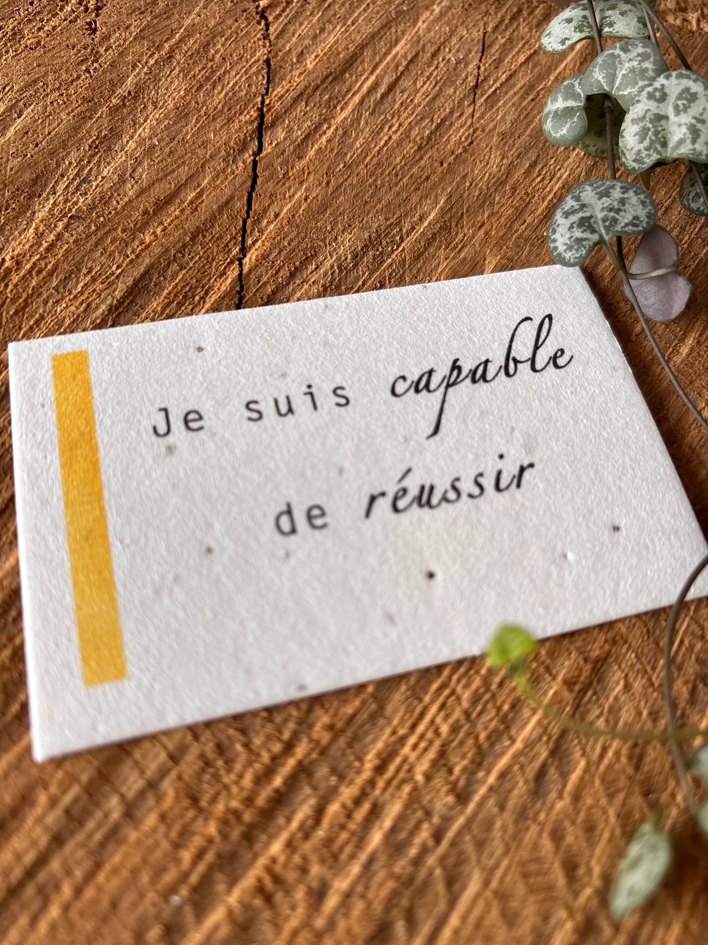 Je suis capable de réussir - 5,5x8,5cm - Chakra Solaire - Carte ensemencée