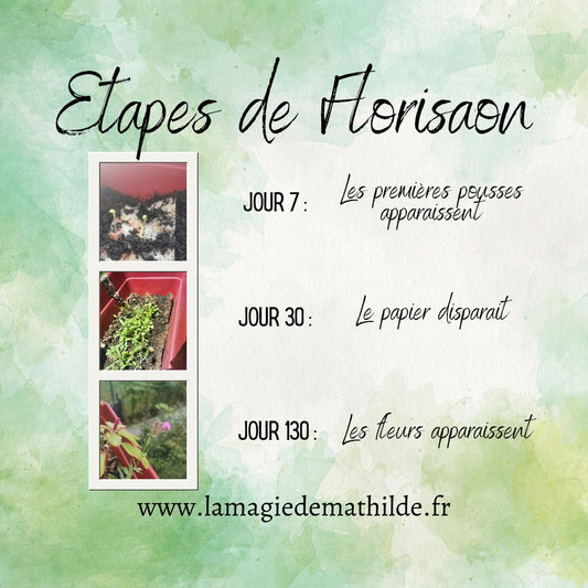 Triples lune - Marque-page ensemencé