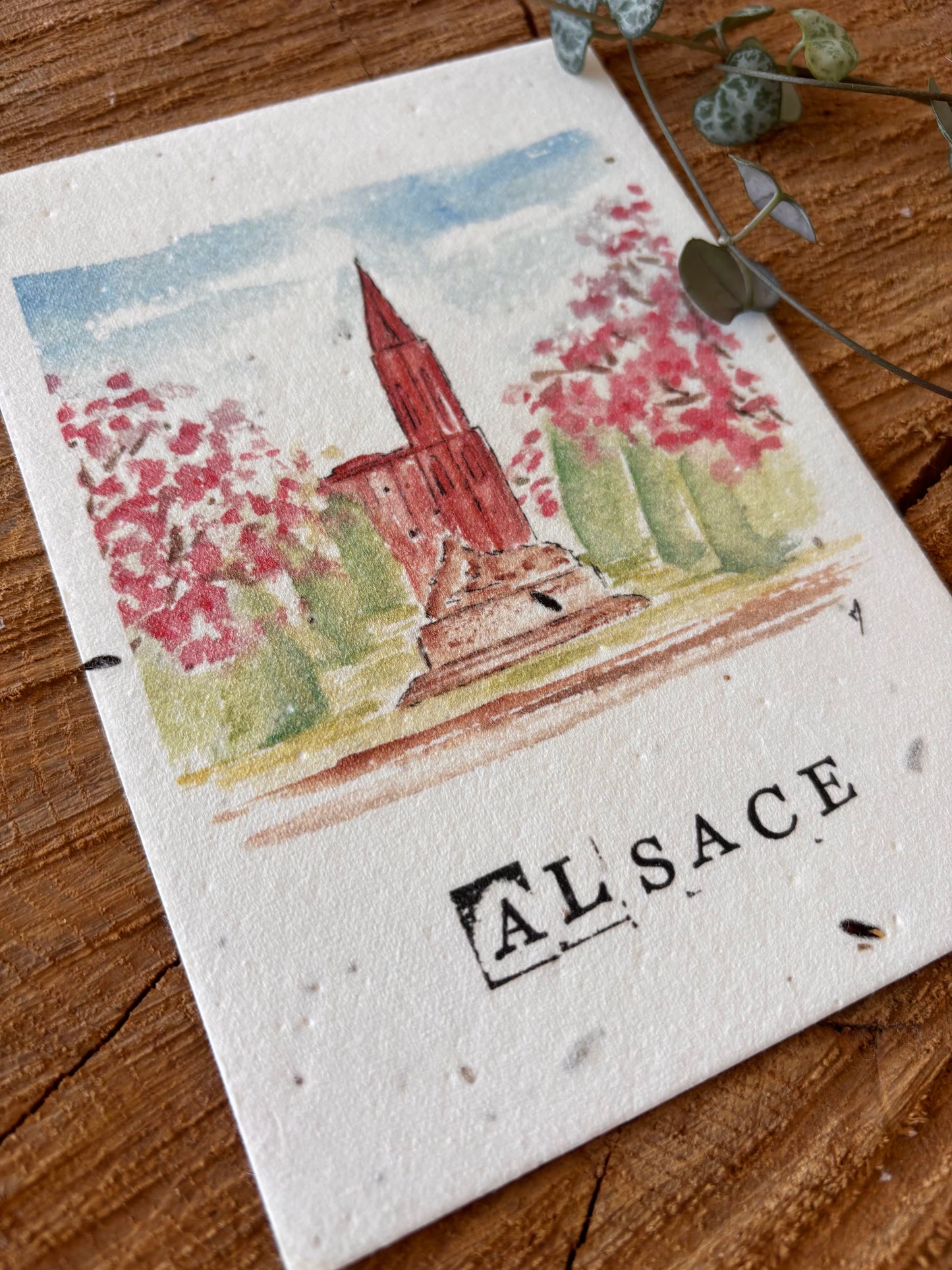 Cathédrale de Strasbourg - Alsace - Carte aquarelle - 10,5x14,8cm