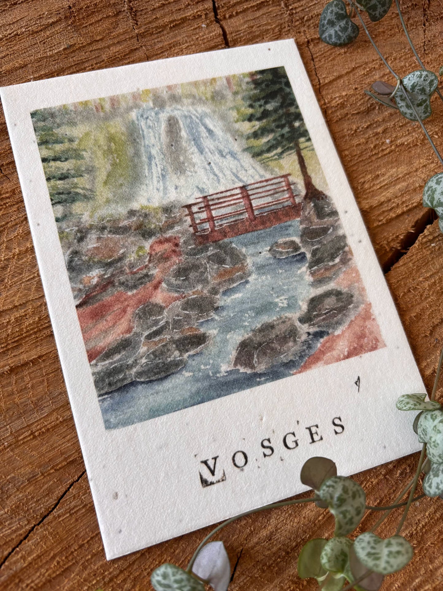 Cascade de la Pissoire - Vosges - Carte aquarelle - 10,5x14,8cm