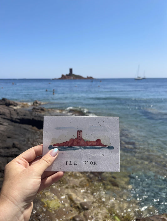 Carte ensemencée avec coordonnées GPS - Ile d'Or - Var