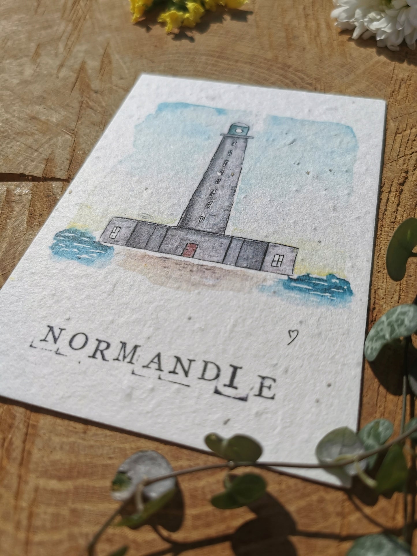 Carte ensemencée avec coordonnées GPS - Phare de Gatteville - Manche