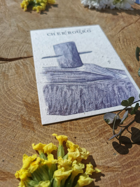 Carte ensemencée avec coordonnées GPS - Le redoutable - Cherbourg