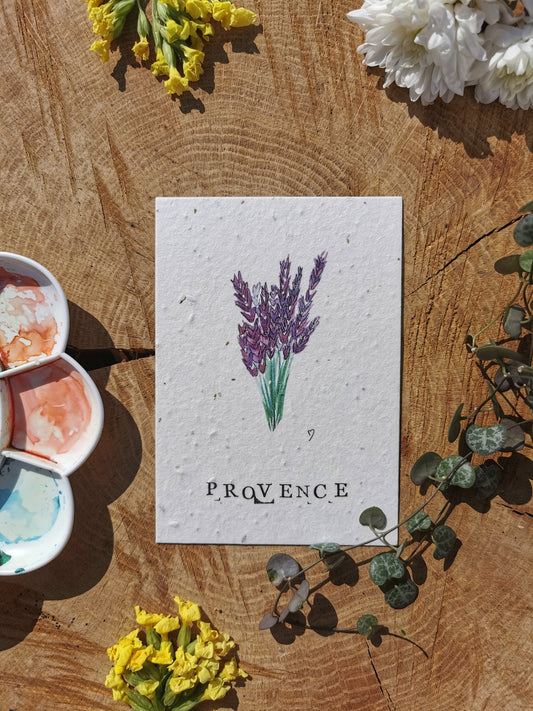 Illustration Zéro-déchet - Lavande - Provence