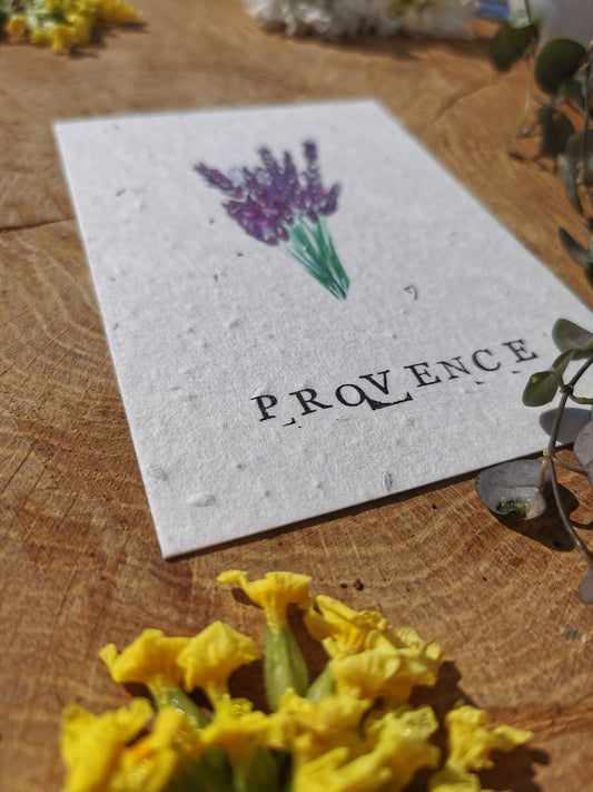 Illustration Zéro-déchet - Lavande - Provence