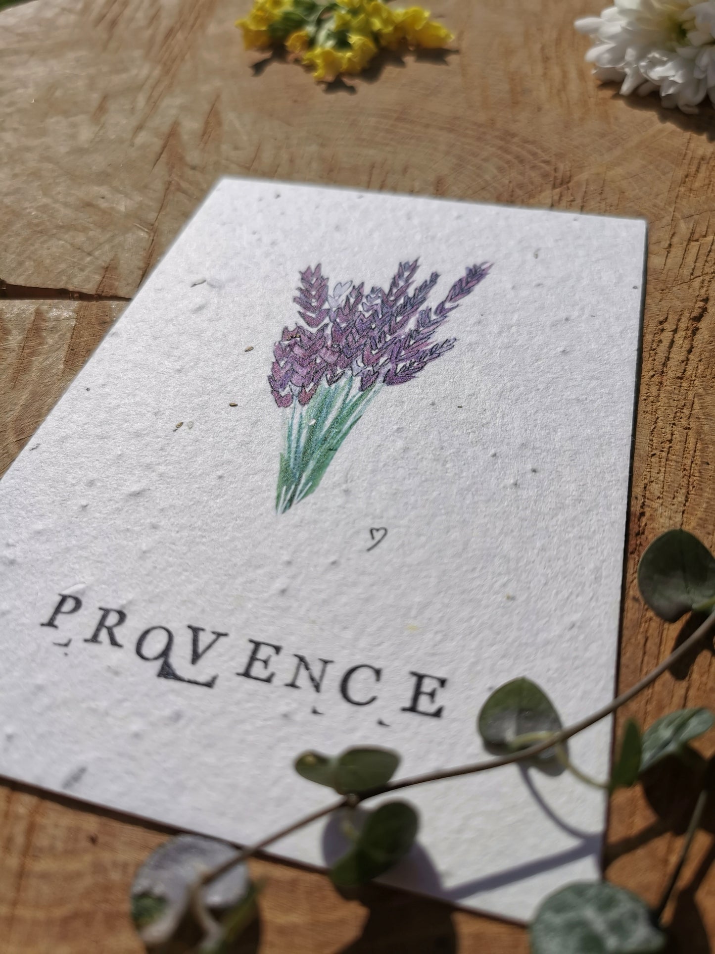 Illustration Zéro-déchet - Lavande - Provence