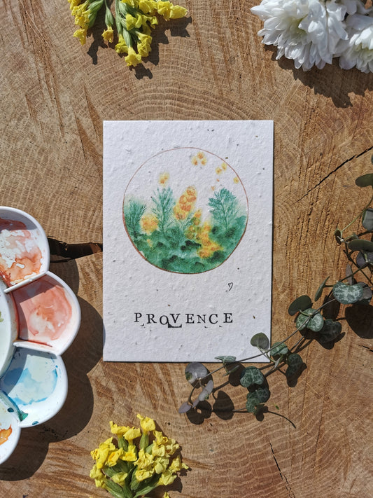 Carte postale ensemencée - Mimosa - Provence