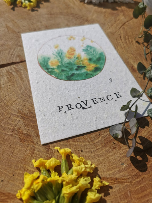 Carte postale ensemencée - Mimosa - Provence