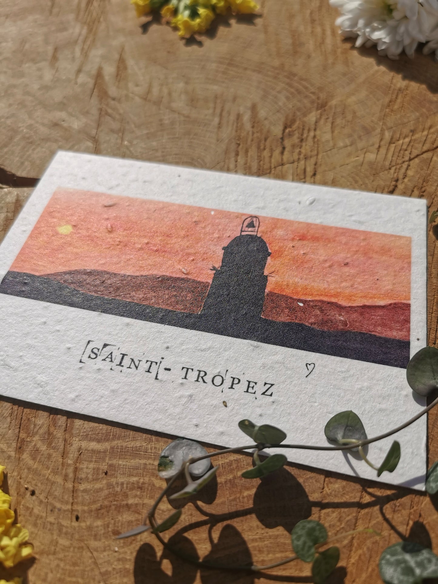 Carte ensemencée avec coordonnées GPS - Saint-Tropez - Var