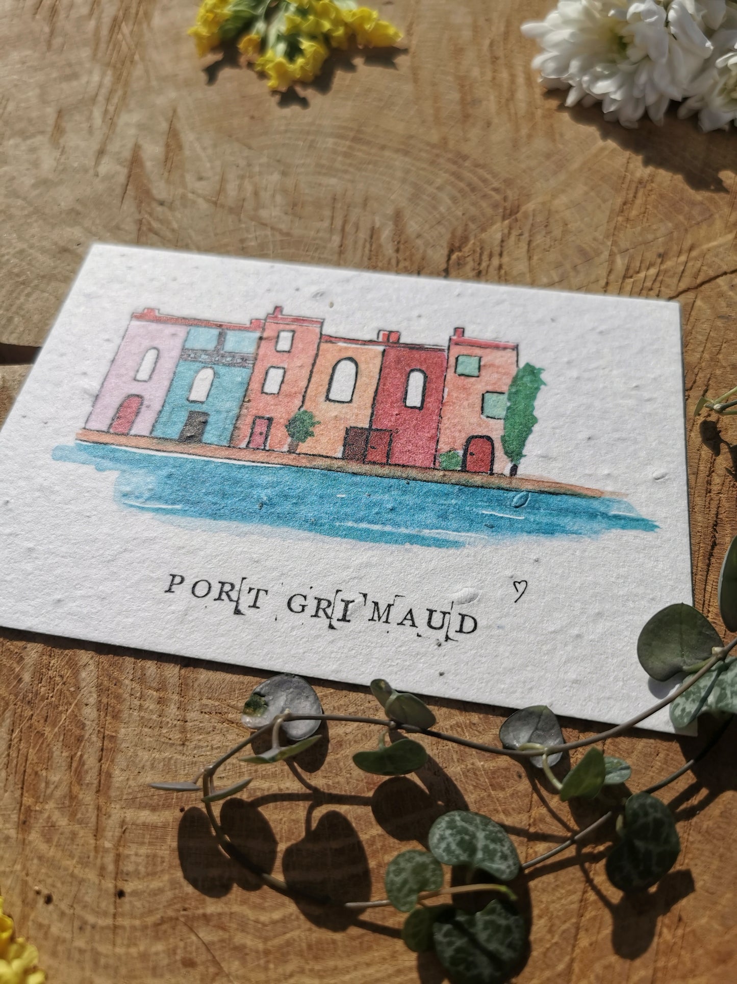 Carte postale ensemencée - Port-Grimaud - Var